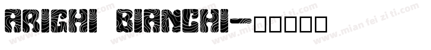 ARIGHI BIANCHI字体转换